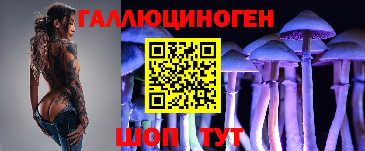 Псилоцибиновые грибы Cubensis Шелехов