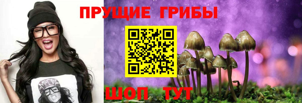 Шелехов  Галлюциногенные грибы GOLDEN TEACHER  купить  сайты  Галлюциногенные грибы Psilocybine cubensis  Вход с VPN 